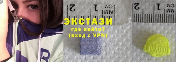 спиды Вяземский