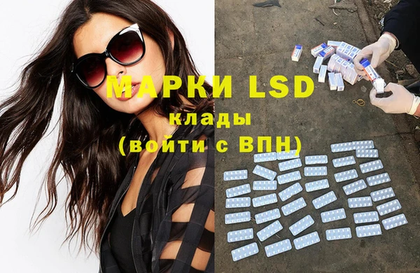 спиды Вяземский