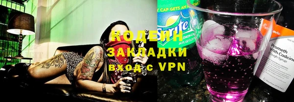 спиды Вяземский