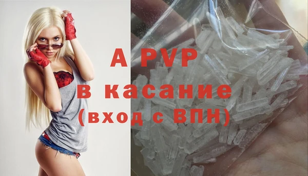спиды Вяземский