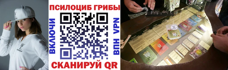 Галлюциногенные грибы Cubensis Междуреченск