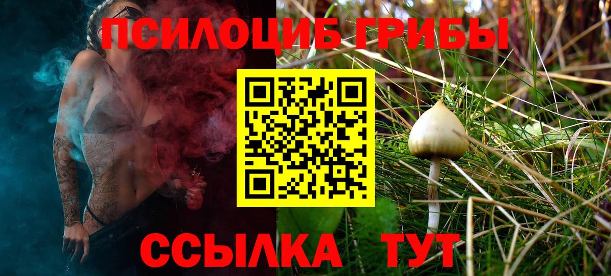 Междуреченск  Псилоцибиновые грибы Psilocybe  закладка  Вход с VPN 
