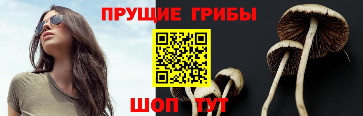 Галлюциногенные грибы мицелий Междуреченск